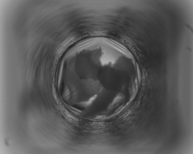 X0000099410145200805231613