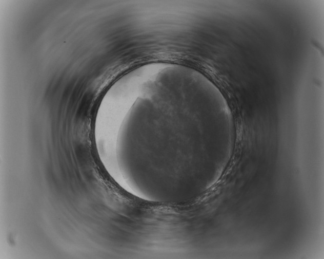 X0000099410146200805231613