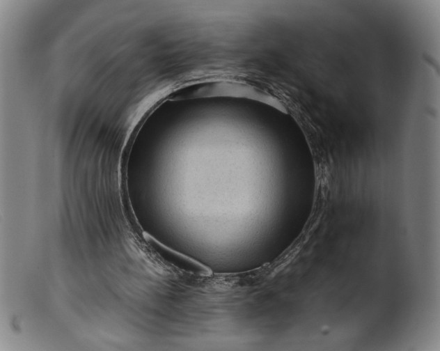 X0000099410148200805231613