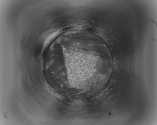 X0000099410149200805231613