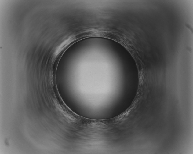 X0000099410150200805231613