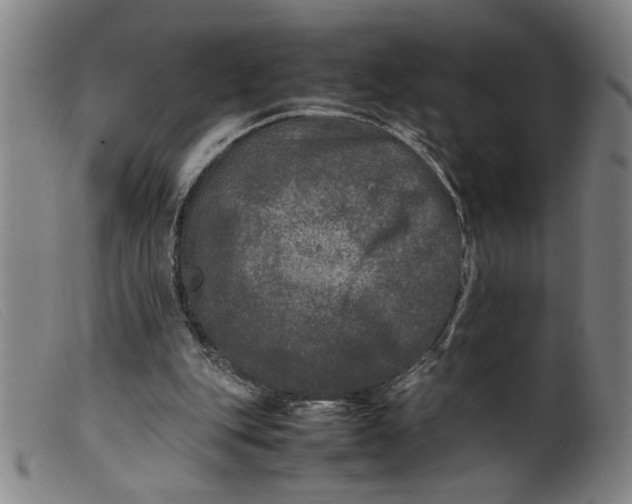 X0000099410151200805231613