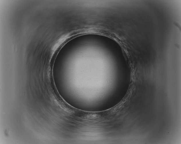 X0000099410152200805231613