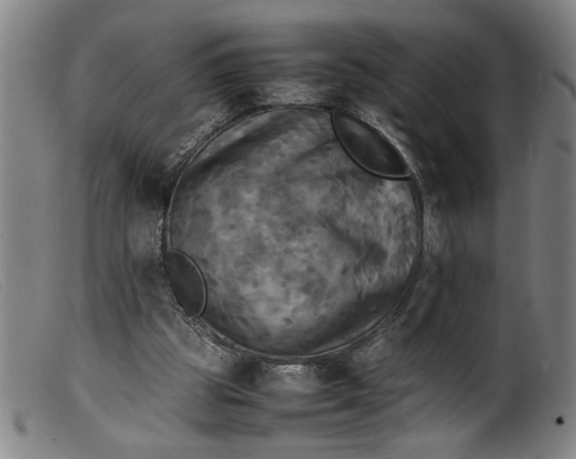 X0000099410153200805231613