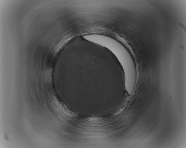 X0000099410154200805231613