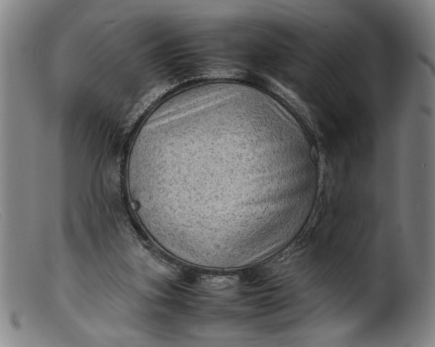 X0000099410155200805231613