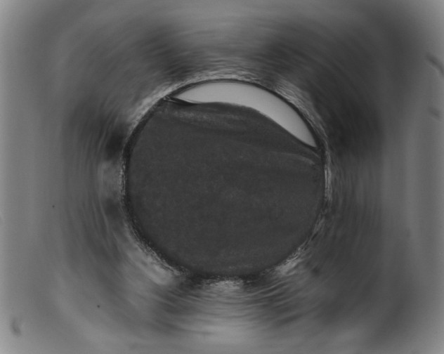 X0000099410156200805231613