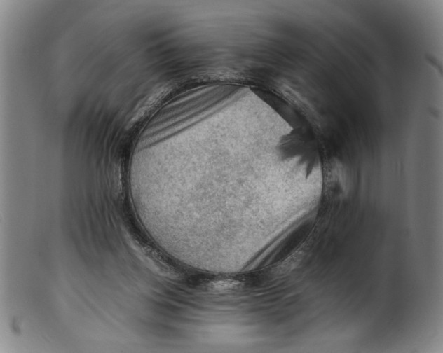 X0000099410158200805231613