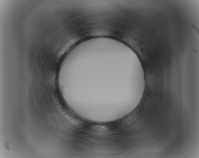 X0000099410159200805231613