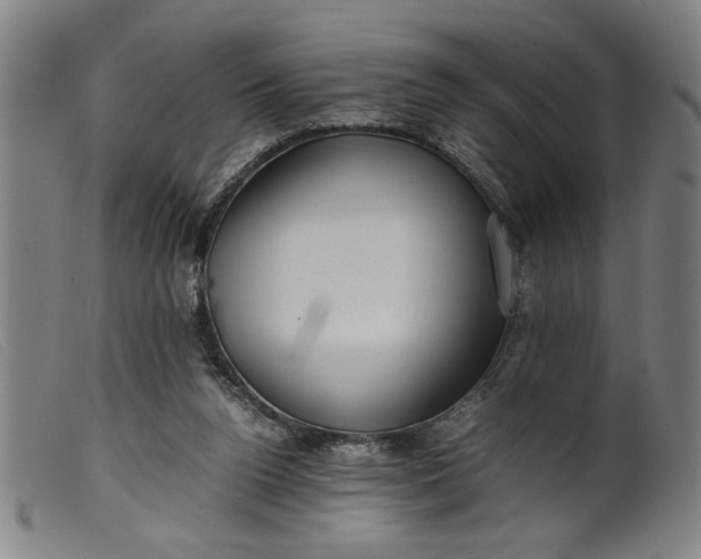 X0000099410160200805231613