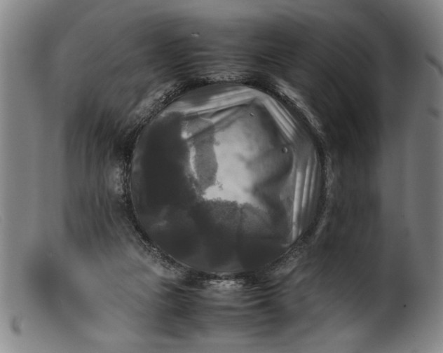 X0000099410161200805231613