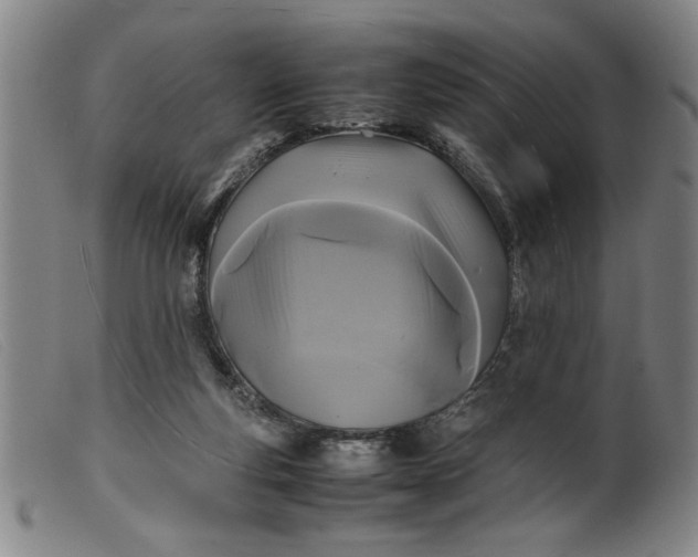 X0000099410163200805231613