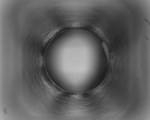 X0000099410164200805231613