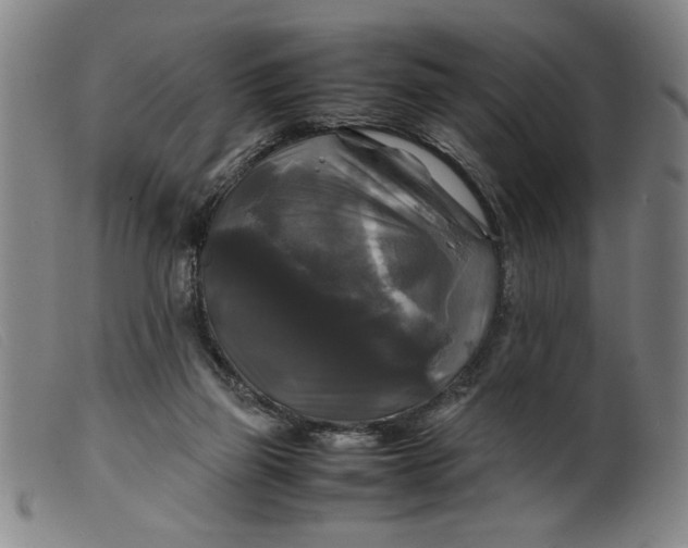 X0000099410165200805231613