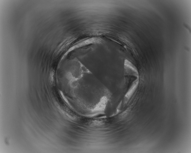 X0000099410166200805231613