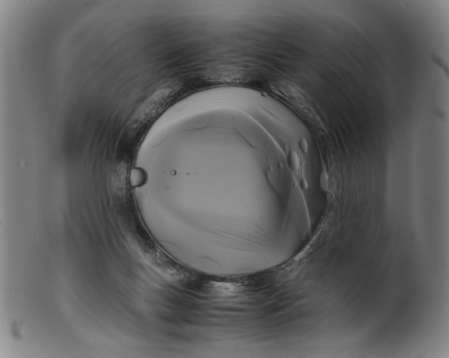 X0000099410167200805231613