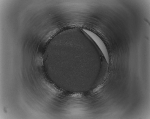 X0000099410168200805231613