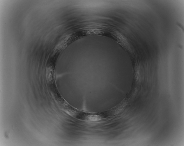 X0000099410169200805231613