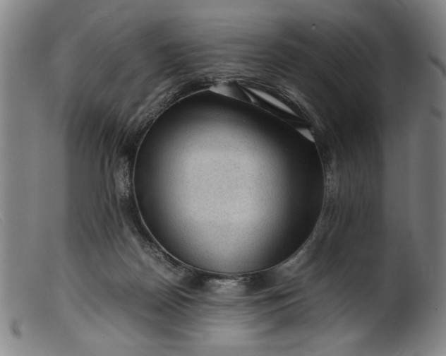 X0000099410170200805231613