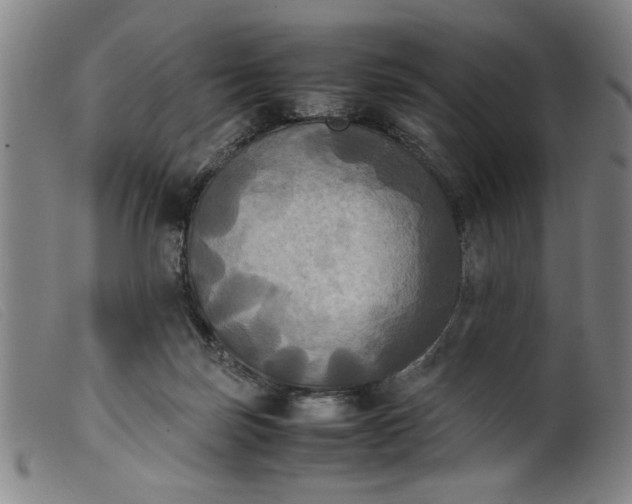 X0000099410171200805231613