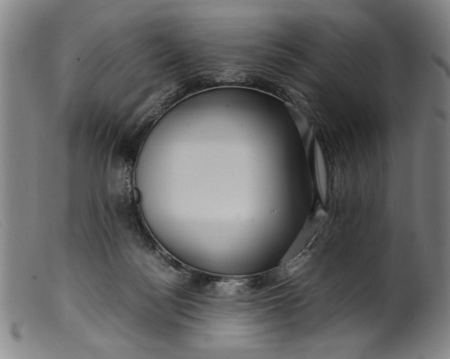 X0000099410172200805231613