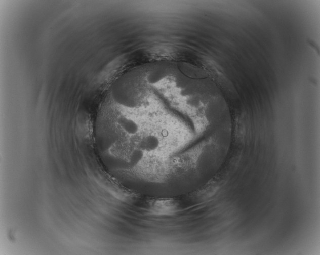 X0000099410173200805231613