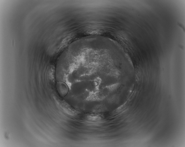 X0000099410175200805231613