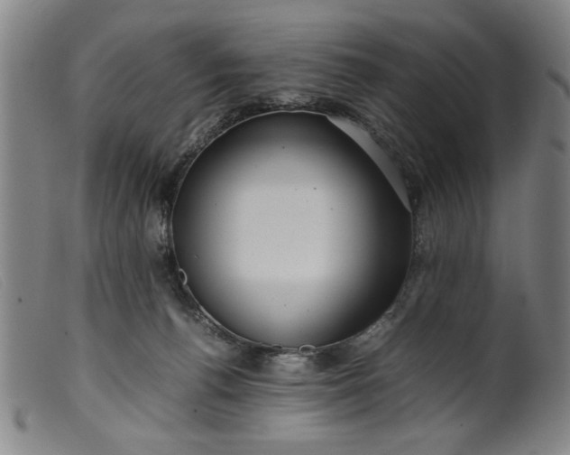 X0000099410176200805231613