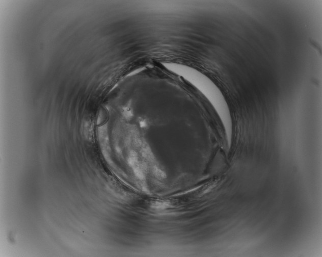 X0000099410177200805231613