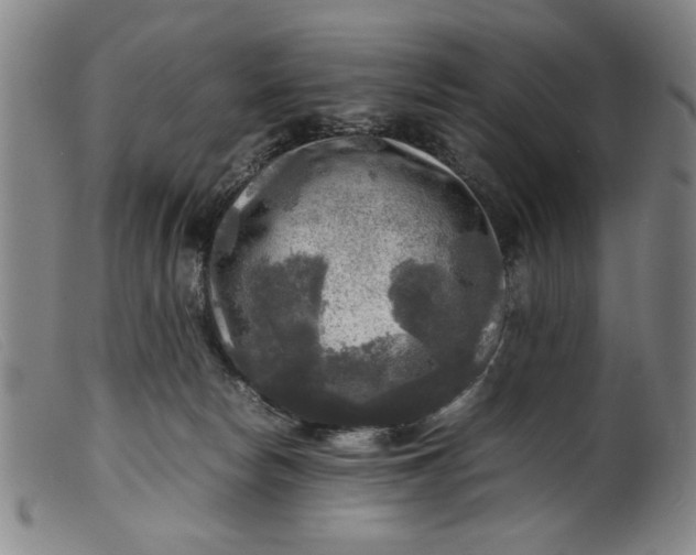 X0000099410178200805231613