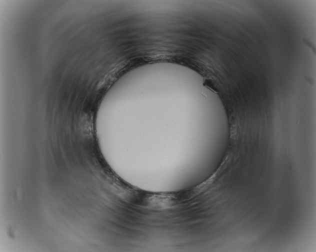 X0000099410179200805231613