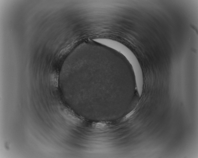 X0000099410180200805231613