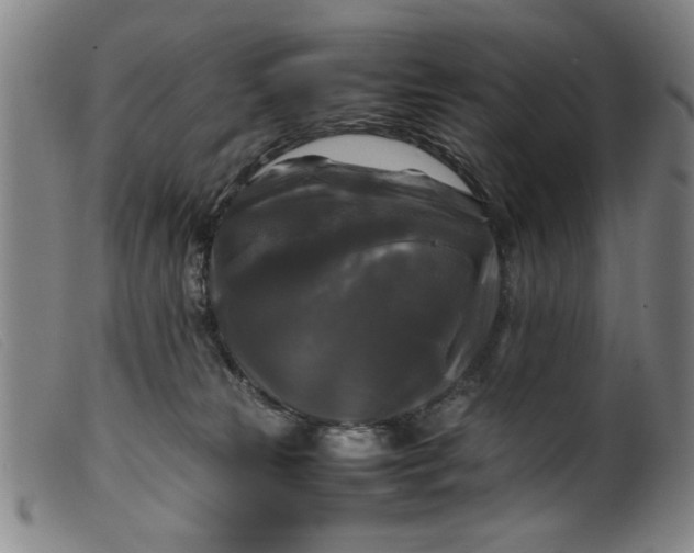 X0000099410181200805231613