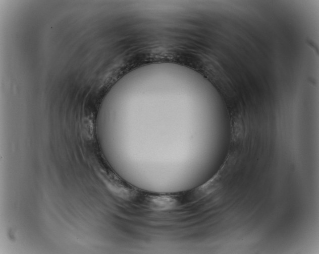 X0000099410183200805231614