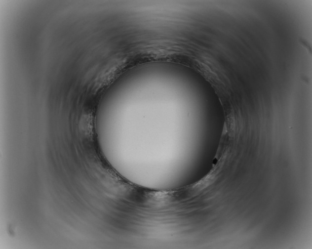 X0000099410184200805231614