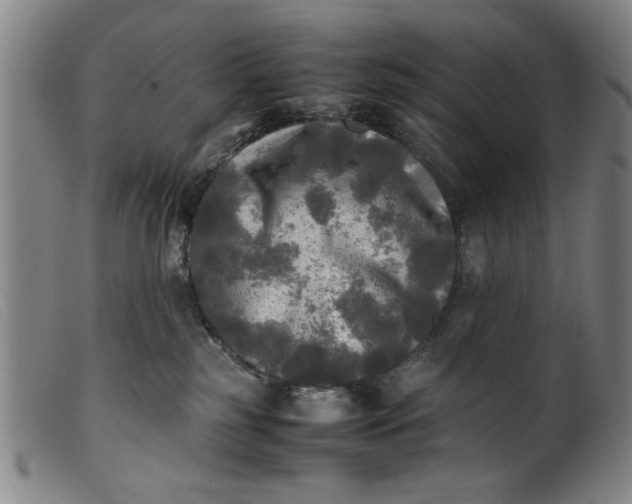 X0000099410185200805231614