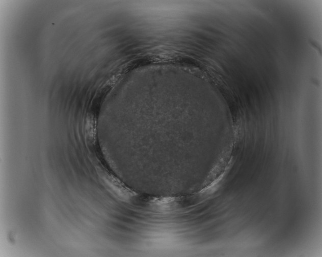 X0000099410186200805231614