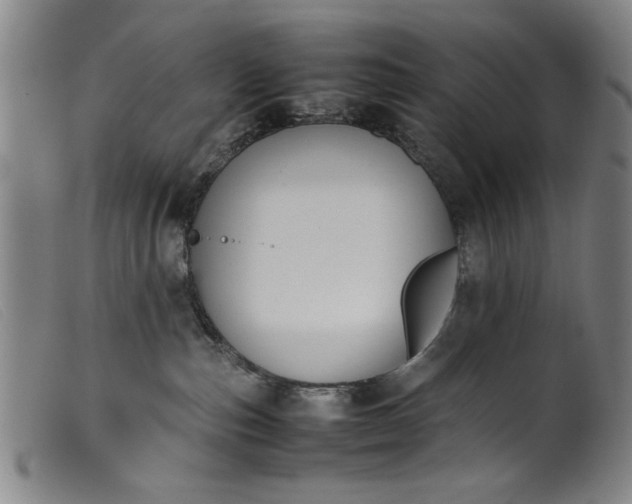 X0000099410187200805231614