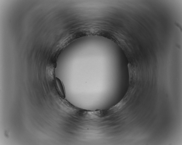 X0000099410188200805231614