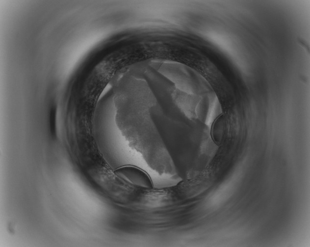 X0000099410189200805231614