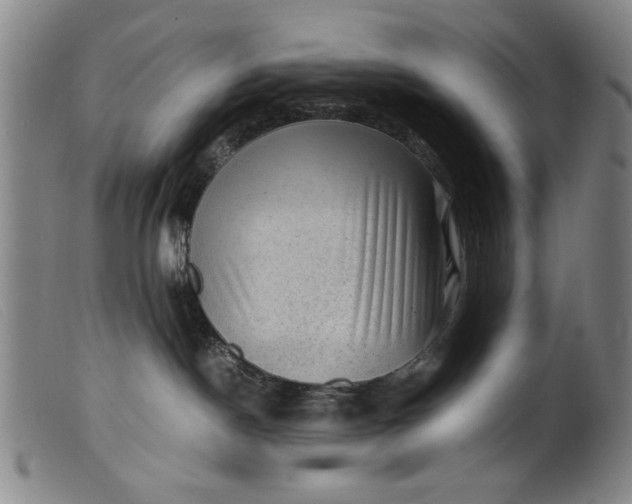 X0000099410190200805231614