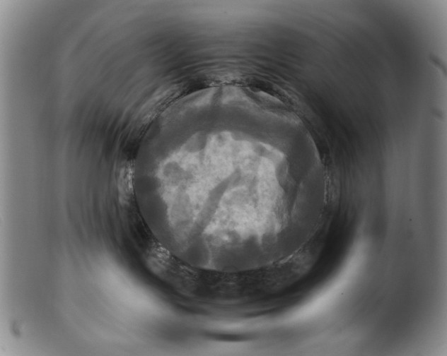 X0000099410191200805231614