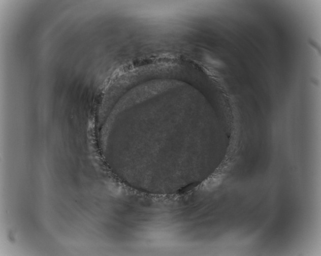 X0000099410192200805231614