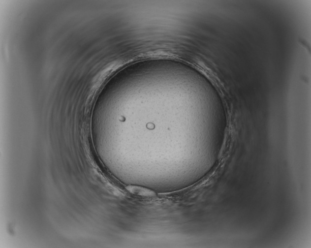 X0000099410193200805231613