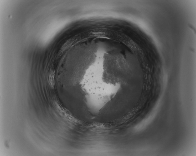 X0000099410194200805231613