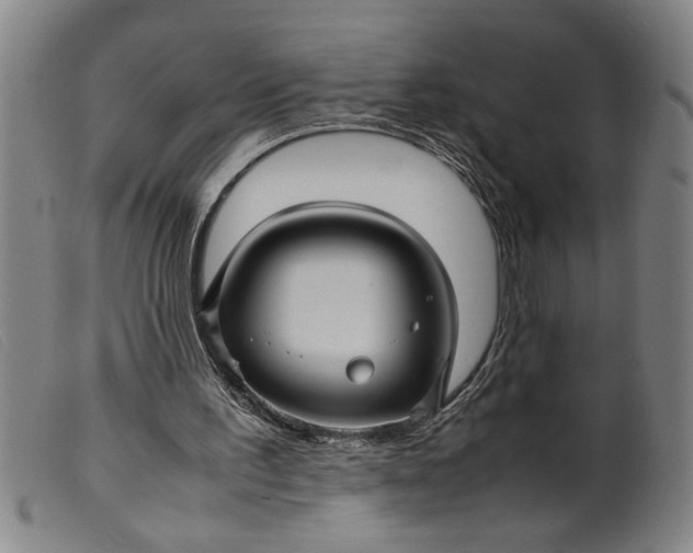 X0000099410195200805231613