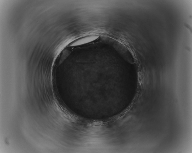 X0000099410196200805231613