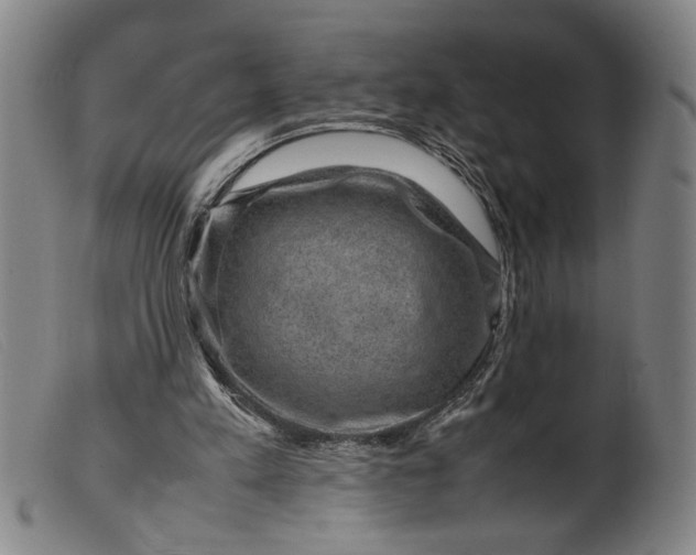 X0000099410197200805231613