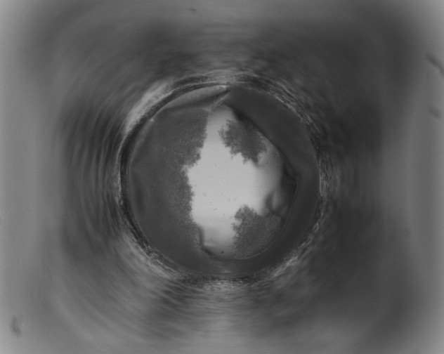 X0000099410198200805231613