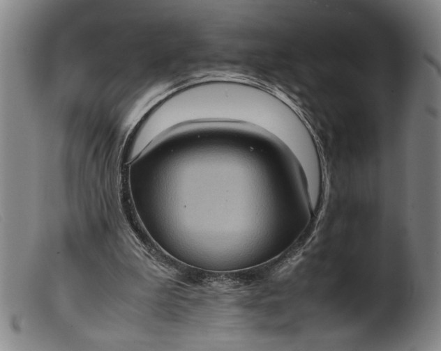 X0000099410199200805231613